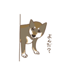 6種類の日本犬スタンプ（個別スタンプ：17）
