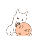 6種類の日本犬スタンプ（個別スタンプ：28）