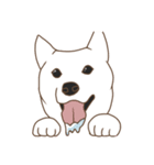 6種類の日本犬スタンプ（個別スタンプ：37）