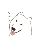 6種類の日本犬スタンプ（個別スタンプ：40）