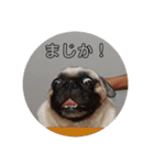 王子君（個別スタンプ：12）