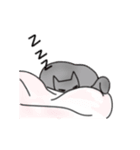 猫と一緒に - Pink（個別スタンプ：16）