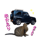 しげみさんちの猫。2（個別スタンプ：9）