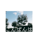 美しい花と風景1（個別スタンプ：2）