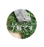 美しい花と風景1（個別スタンプ：3）