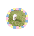 さくらすたんぷ♡（個別スタンプ：1）