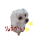 さくらすたんぷ♡（個別スタンプ：3）