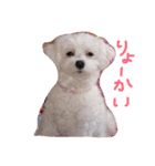さくらすたんぷ♡（個別スタンプ：4）