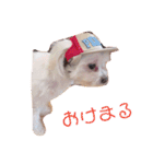 さくらすたんぷ♡（個別スタンプ：5）