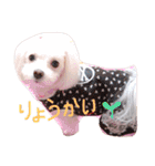 さくらすたんぷ♡（個別スタンプ：6）