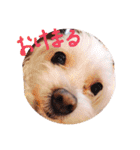 さくらすたんぷ♡（個別スタンプ：7）