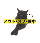 黒猫の日常。2（個別スタンプ：21）