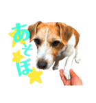 ランディといっしょ。（個別スタンプ：11）