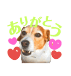 ランディといっしょ。（個別スタンプ：15）