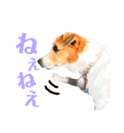 ランディといっしょ。（個別スタンプ：22）