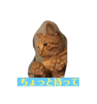 ねこねこいぬ（個別スタンプ：2）