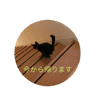 ねこねこいぬ（個別スタンプ：3）