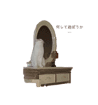 保護猫COCO君の日常（個別スタンプ：3）