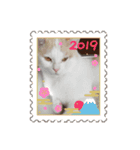 保護猫COCO君の日常（個別スタンプ：16）