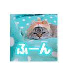 使いやすい！つくね＆もぐらスタンプ（個別スタンプ：4）