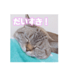 使いやすい！つくね＆もぐらスタンプ（個別スタンプ：8）