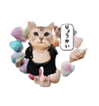 wanderfull ameshosan（ダジャレ編）（個別スタンプ：7）