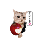 wanderfull ameshosan（ダジャレ編）（個別スタンプ：9）