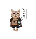 wanderfull ameshosan（ダジャレ編）（個別スタンプ：22）