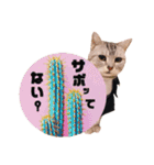 wanderfull ameshosan（ダジャレ編）（個別スタンプ：32）