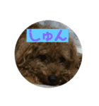 チョッパーと仲良し仲間たち（個別スタンプ：12）