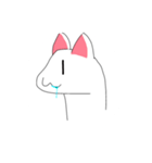 しろい、ねこ（個別スタンプ：16）