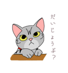 おすましアメショー しまこ（個別スタンプ：3）