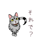 おすましアメショー しまこ（個別スタンプ：5）