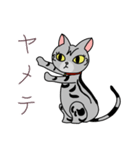 おすましアメショー しまこ（個別スタンプ：6）
