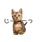 ねこじろうさん（個別スタンプ：3）