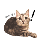 ねこじろうさん（個別スタンプ：20）