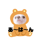 まめちゃんスタンプ①（個別スタンプ：1）