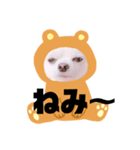 まめちゃんスタンプ①（個別スタンプ：2）