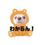 まめちゃんスタンプ①（個別スタンプ：3）
