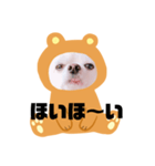まめちゃんスタンプ①（個別スタンプ：4）