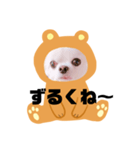 まめちゃんスタンプ①（個別スタンプ：7）