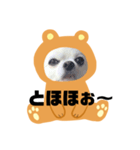 まめちゃんスタンプ①（個別スタンプ：8）