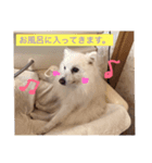 pin-ji5（個別スタンプ：2）