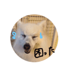 pin-ji5（個別スタンプ：5）