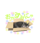 もちもちfamilyの日常スタンプ（個別スタンプ：2）