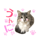 もちもちfamilyの日常スタンプ（個別スタンプ：8）