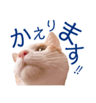 イチローすたんぷ＊basic（個別スタンプ：7）