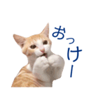 イチローすたんぷ＊basic（個別スタンプ：9）