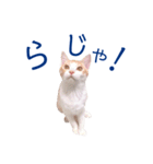 イチローすたんぷ＊basic（個別スタンプ：10）
