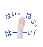 イチローすたんぷ＊basic（個別スタンプ：11）